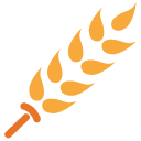 gluten-free